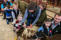 Longtown Mart Young Handlers sponsored by Farmers Guardian - 8th August 2024-7